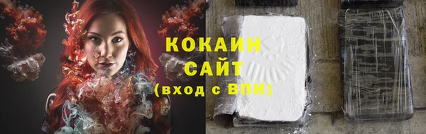 тгк Лагань