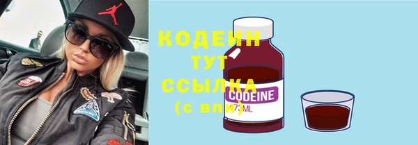 тгк Лагань