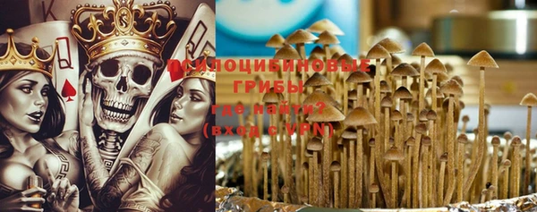 МДПВ Новый Уренгой