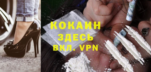 тгк Лагань