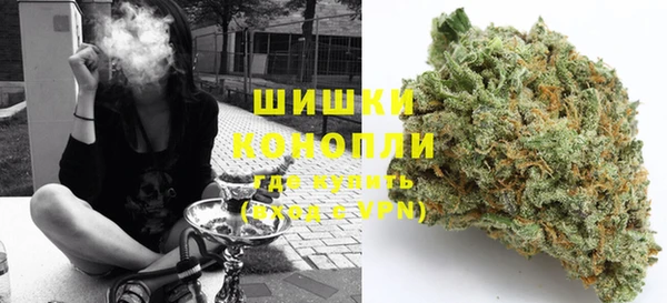 ПСИЛОЦИБИНОВЫЕ ГРИБЫ Ладушкин