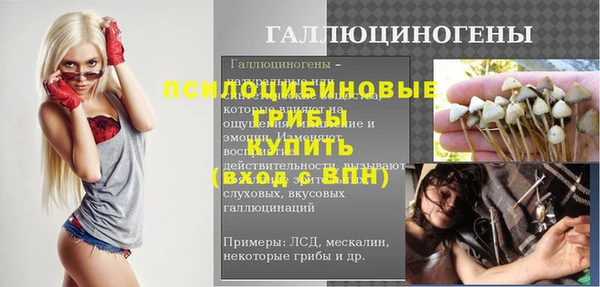 ПСИЛОЦИБИНОВЫЕ ГРИБЫ Ладушкин