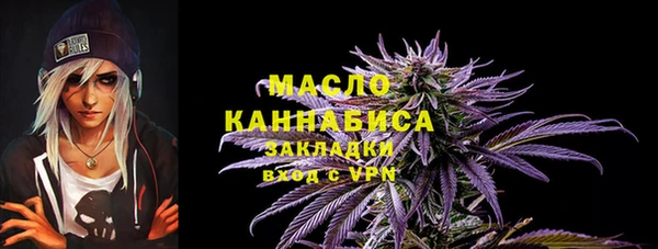 тгк Лагань