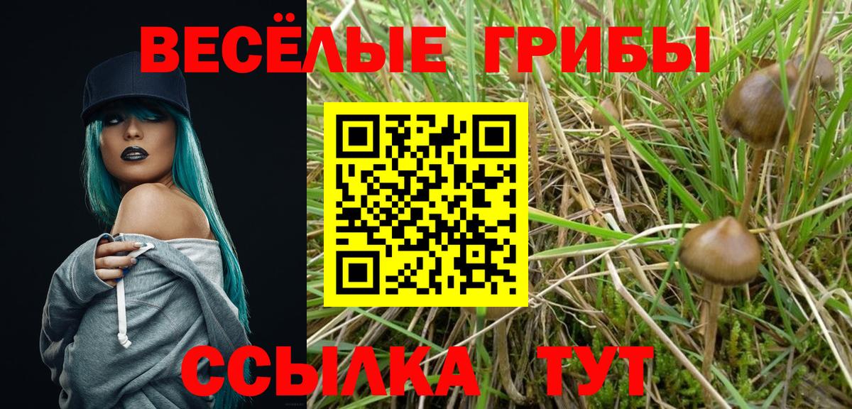 Галлюциногенные грибы Psilocybe Туймазы