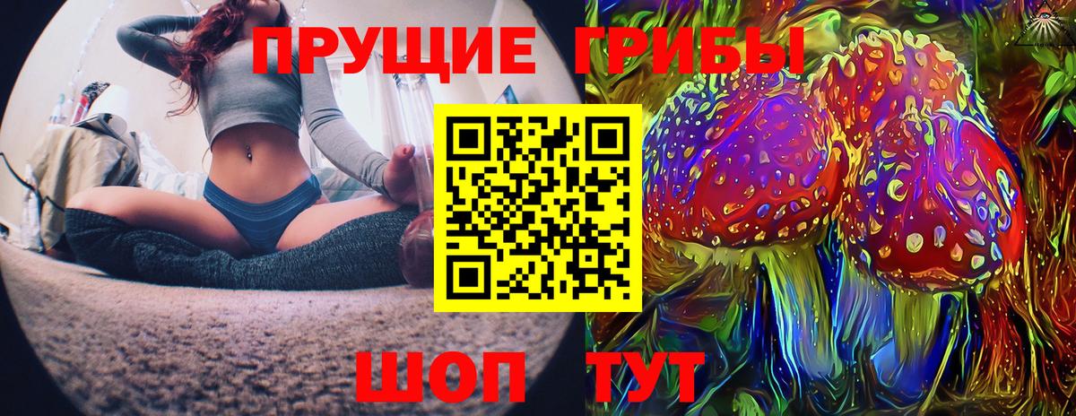 Галлюциногенные грибы Magic Shrooms  Псилоцибиновые грибы GOLDEN TEACHER  Туймазы  Вход с VPN 